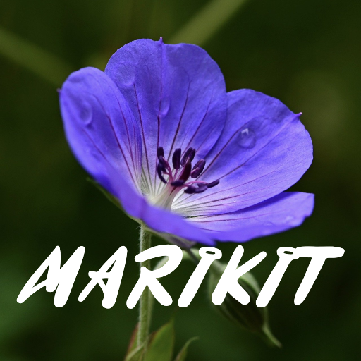 Marikit Song Lyrics  Icon