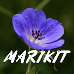 Cover Image of Download Marikit Song Lyrics  APK