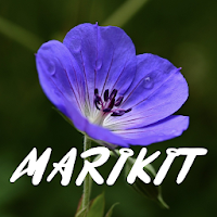 Marikit Song Lyrics