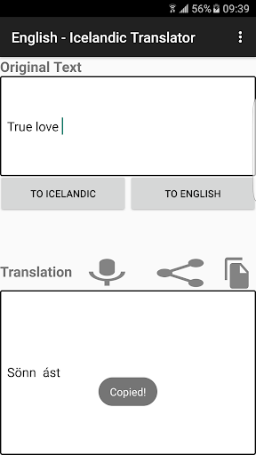 English - Icelandic Translator Screen 2