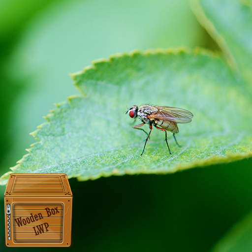 flies wallpaper logo