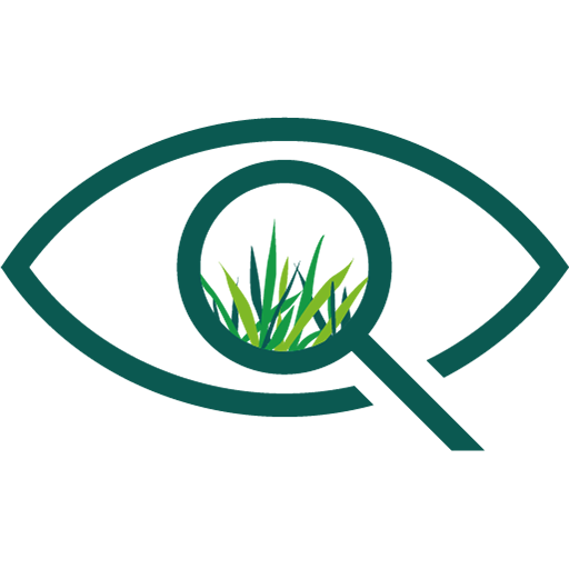 eyeturf  Icon