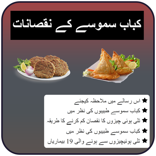 Kabab Samosa Ke Nuqsanat logo