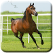 馬のHDライブ壁紙 - Androidアプリ