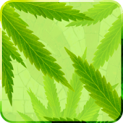 MaryJane Live Wallpaper 1.15 Icon