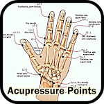 Cover Image of 下载 Acupressure Points  APK