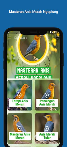 Android application Masteran Anis Merah Ngeplong screenshort