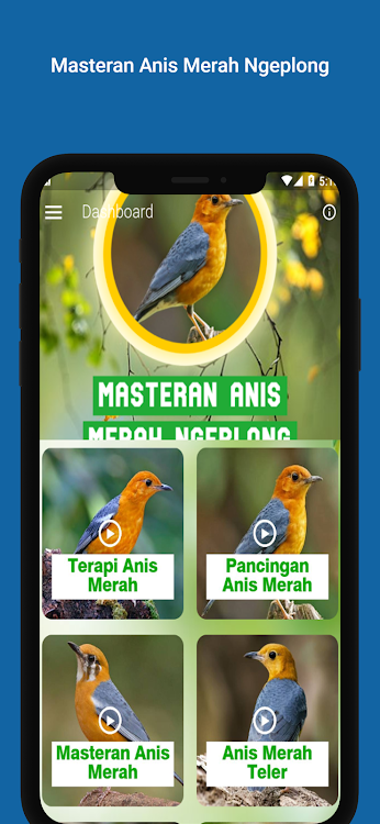 Masteran Anis Merah Ngeplong - 2.4.7 - (Android)