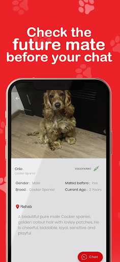 Duo-Pet Screen 3