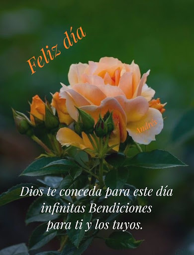 Buenos Días Amor imágenes Screen 3