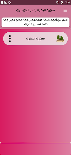 سورة البقرة بصوت ياسر الدوسري Screen 2