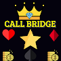 Call Bridge With Call Break