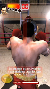 RealTech Iron Fist Boxing