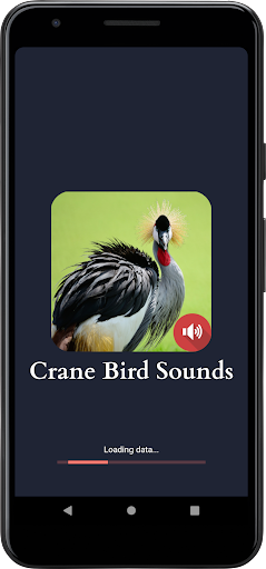 Android application Crane Bird Sounds screenshort