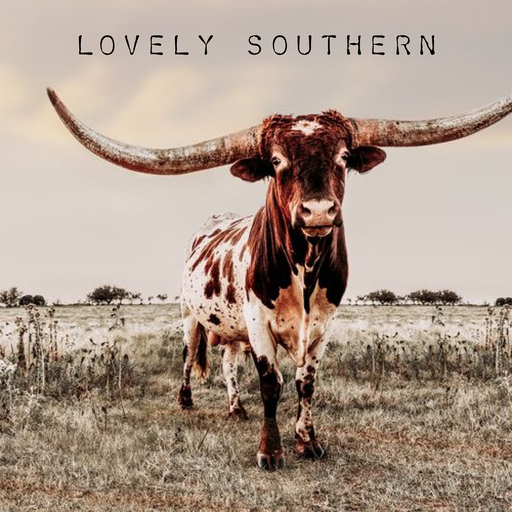 Lovely Southern Boutique logo