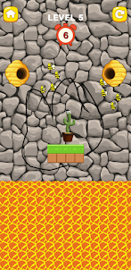 Help Me: Save The Cactus