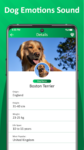 Dog Sounds and Dogs Breed