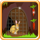 Rabbit Escape from Cage icon