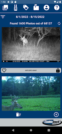 Cuddeback Screen 2