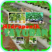 Sayuran Hidroponik
