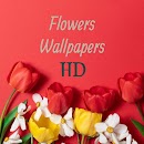 Flowers Wallpapers HD 4K icon