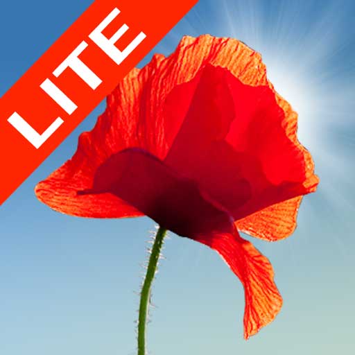 Poppy Field Lite logo