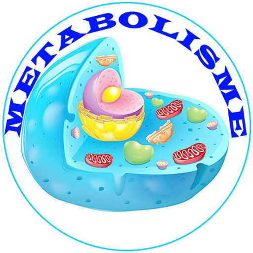Metabolic System Diseases logo