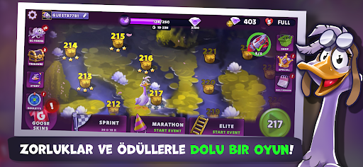 Wild Goose Game | Sally Macera Android Oyunu Ekran Görüntüsü 2