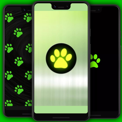 Black Cat Wallpapers Auf Windows herunterladen