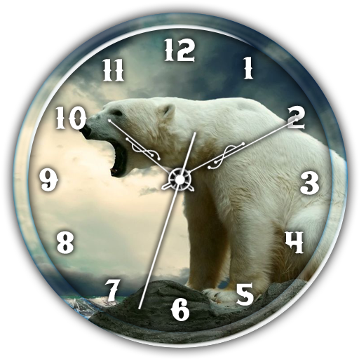 Clock Live WP  Polar Bear