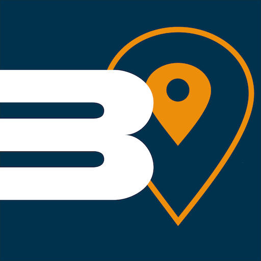BimSat logo