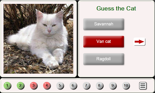 Android application Guess the Cat: Tile Puzzle screenshort