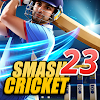 Bat Ball Game: Cricket Game 3D icon