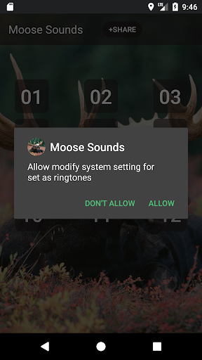 Moose Sounds Screen 3