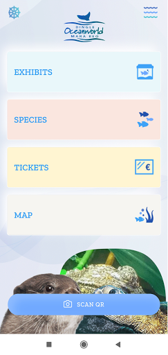 Explore Dingle Oceanworld