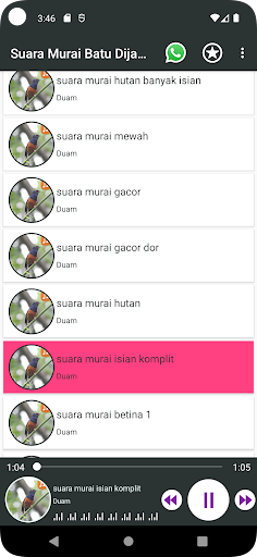 Suara Murai Batu Dijamin Nyaut Screen 3
