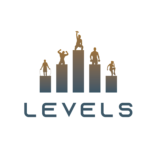 Levels Emmen logo