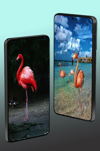 Flamingo Wallpaper Screen 2