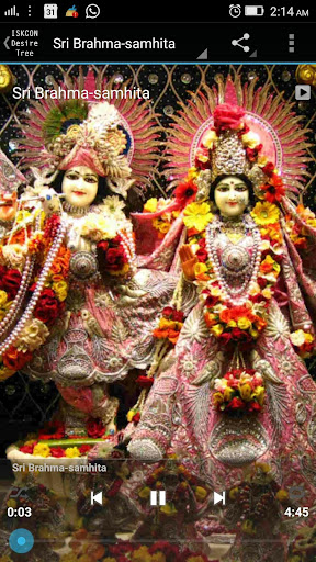 Daily Temple Prayers screenshot 23