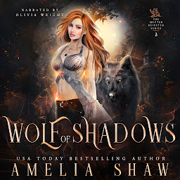 Icon image Wolf of Shadows