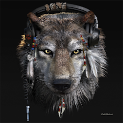Download Wild Wolf Wallpaper 4K 1.2(3