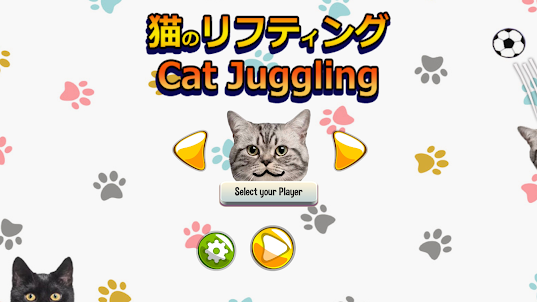 猫のリフティング - Cat Juggle