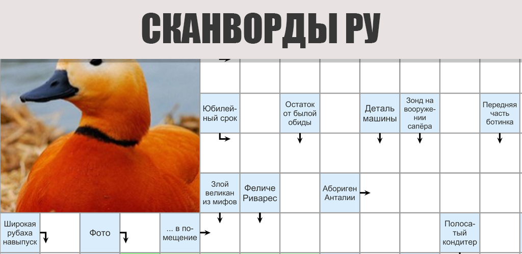 Кроссворды на каждый день. Игра кроссворд на ПК. В сканворде армянский. Птица с ушами и воротником сканворд. Синяя птица сканворд