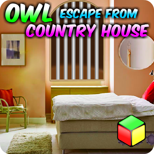 Owl Escape From Country House