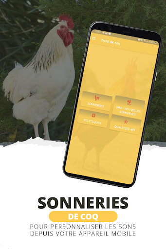 Aperçu de l'application