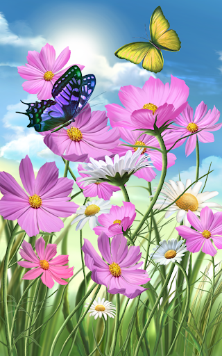 Flowers and Butterflies Summer