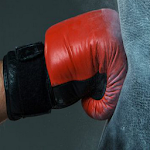 Cover Image of ดาวน์โหลด Boxing Workout 1.0 APK