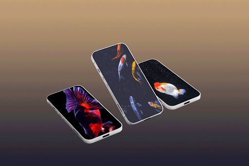 Goldfish Wallpaper Screen 3