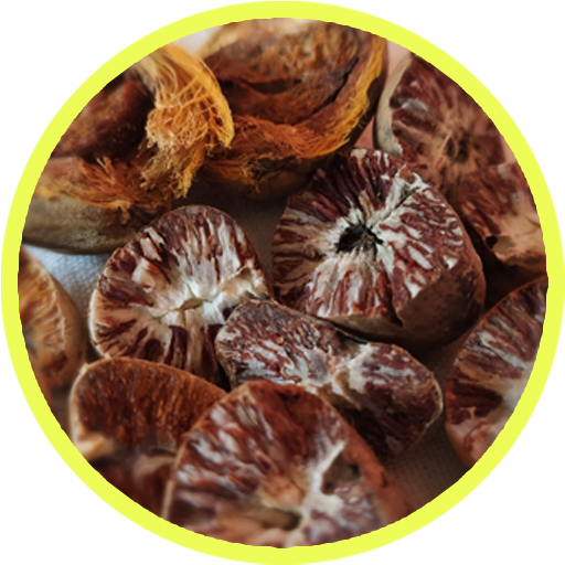 Areca Nut/ OSMF Awareness logo