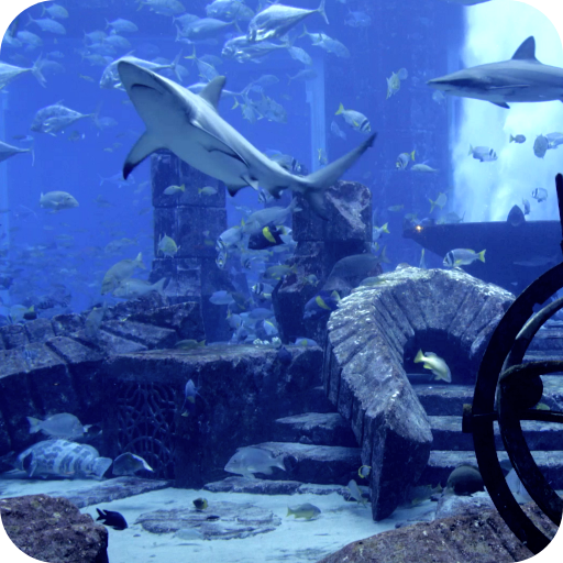 Aquarium Video Live Wallpaper 3.0 Icon
